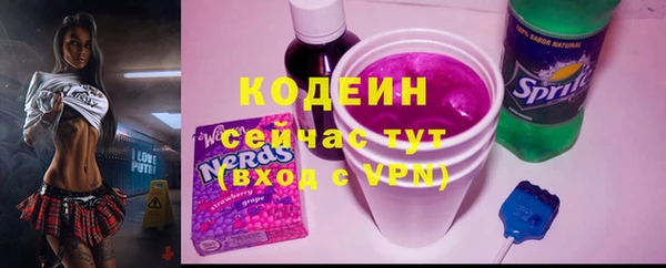 хмурый Абаза