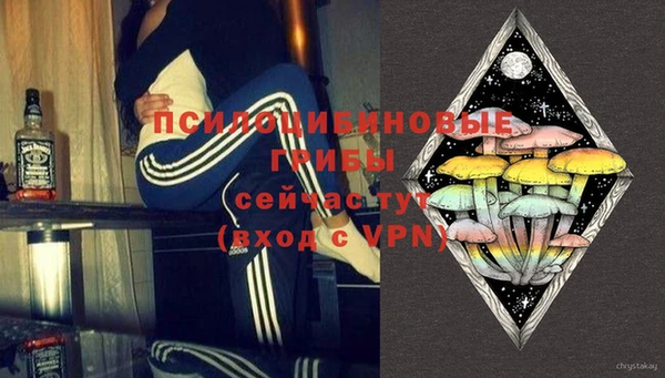 шишки Михайловск