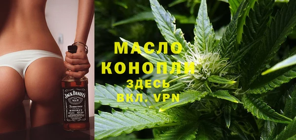 хмурый Абаза