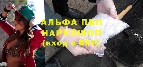 хмурый Абаза