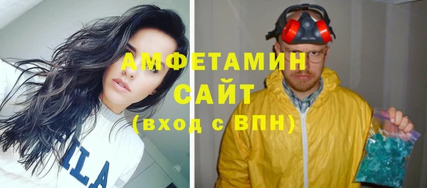 шишки Михайловск