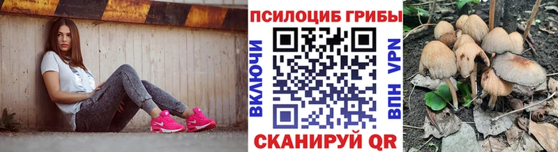 Псилоцибиновые грибы GOLDEN TEACHER  как найти   Янаул 